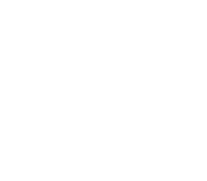 Our Brands